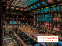 Grande Galerie de l'évolution- visuels 2024 - image00002