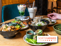 Bêp Việt, le restaurant vietnamien végétarien du 13e, les photos