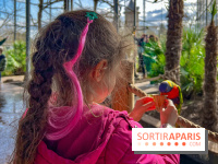Visuels enfants, attractions, parc, Jardin d'Acclimatation, animaux, zoo