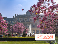 Les magnolias du Jardin du Palais Royal  - printemps - visuel Paris