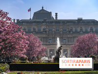 Les magnolias du Jardin du Palais Royal  - printemps - visuel Paris