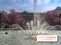 Les magnolias du Jardin du Palais Royal  - printemps - visuel Paris - fontaine - chaleur - beau temps