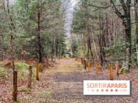 Arbor&Sens, l'Arboretum de Franchard en forêt de Fontainebleau - les photos