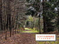 Arbor&Sens, l'Arboretum de Franchard en forêt de Fontainebleau - les photos