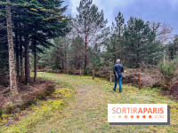 Arbor&Sens, l'Arboretum de Franchard en forêt de Fontainebleau - les photos - IMG 7913