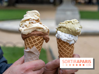 Brigat' Gelato - la glacerie Place des Vosges -  A7C9929