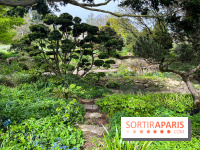Jardin de l'Ecole du Breuil - nos photos