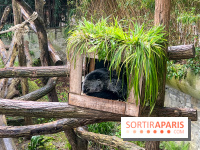 Ménagerie du Jardin des Plantes 2024 - nos photos