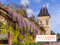 Village de Medan dans les Yvelines -  château de Medan - glycine