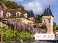 Village de Medan dans les Yvelines -  château de Medan - glycine