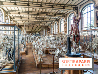 La Galerie de Paléontologie et d'Anatomie comparée du Muséum au Jardin des Plantes -  A7C7488
