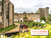 Les Rendez-vous de la Madeleine à Chevreuse -  A7C2549