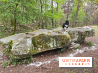 Dolmen de la Pierre Ardoue - IMG 0985