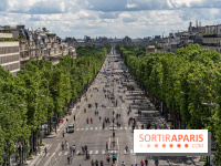 Grand pique nique des Champs-Élysées - photos
