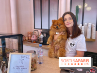 Casa del Doggo