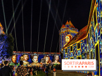 Lumières de Blandy : l'héritage des vicomtes, le spectacle sons et lumières -  A7C8174