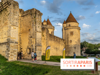 Le Château de Blandy-les-Tours en Seine-et-Marne (77), nos photos -  A7C7946