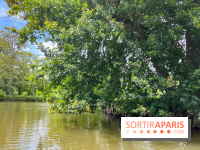 Domaine de Chamarande - nos photos - image00007