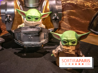Star Wars : Fans of the Galaxy, l'expo à découvrir dans une galaxie lointaine, très lointaine - DSC 0887