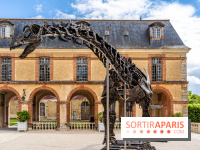 Un dinosaure géant au Château de Dampierre - Jurassique au Château de Dampierre -  A7C8901