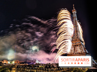 Feu d'artifice du 14 juillet de Paris 2024, les photos