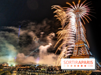 Feu d'artifice du 14 juillet de Paris 2024, les photos