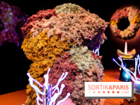 “Forêts astrales” : nos photos de l'exposition gratuite à voir à l'Institut suédois à Paris - IMG 5982