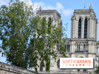 Une croisière privée en amoureux sur la Seine - DSC 2252