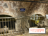 Musée des Égouts - IMG 4790