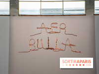 Exposition Praesentia de Myriam Mihindou au Palais de Tokyo - DSC 1631