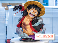 One Piece pop-up shop Paris - les photos
