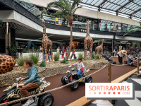 Les animations safari gratuites de One Nation pour les vacances de la Toussaint