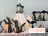 La faune en plis - nos photos - image00018