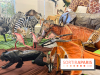 La faune en plis - nos photos - image00002