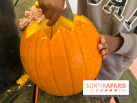 La Fête de la Citrouille - nos photos - image00024