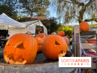 La Fête de la Citrouille - nos photos
