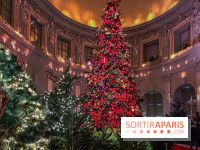 Noël 2024 au Château de Vaux-le-Vicomte : une expérience magique avec une patinoire