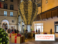 Les illuminations de Noël 2024 du Faubourg Saint Honoré avec Emmanuelle Béart - IMG 1566 jpg 2