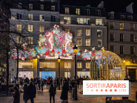 Les illuminations de Noël 2024 du Faubourg Saint Honoré avec Emmanuelle Béart - IMG 1591 jpg 3