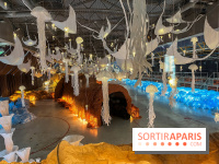 L'océan de Léa, l'exposition événement à la patinoire de Saint-Ouen - nos photos - image00007