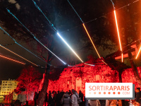 Lueurs de Mantes 2024, le parcours lumineux dans les Yvelines - photos -  A7C9135