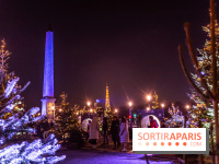 Le Marché de Noël de la Place de la Concorde à Paris -  A7C9484