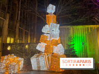 Bel Hiver Saint-Denis 2024 - nos photos - image00017