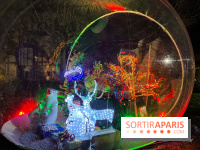 Village de Noël Saint-Ouen - nos photos - 105E66F0 BF03 4FAE 9B15 0B9D12186D56