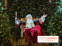 Le Parcours du Roi, la visite-spectacle de Noël 2024 du Château de Versailles - FullSizeRender 29