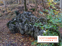 Randonnée à Fontainebleau : le sentier sur les pas de Denecourt jusqu’à la Tour Denecourt -  A7C7571