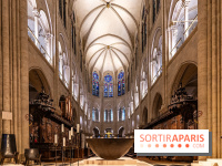 Visite de Notre-Dame de Paris -  A7C0194