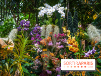 Mille et une orchidées 2025 - les photos