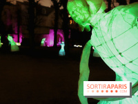 Exposition Silva Lumina au Centre Culturel Irlandais  - Silva Lumina 12 fotor 2025020692052