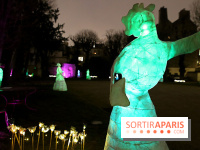 Exposition Silva Lumina au Centre Culturel Irlandais  - Silva Lumina 14 fotor 202502069205